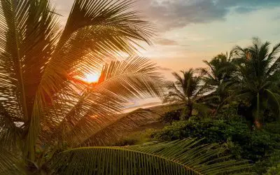 9 Best All Inclusive Resorts in Costa Rica