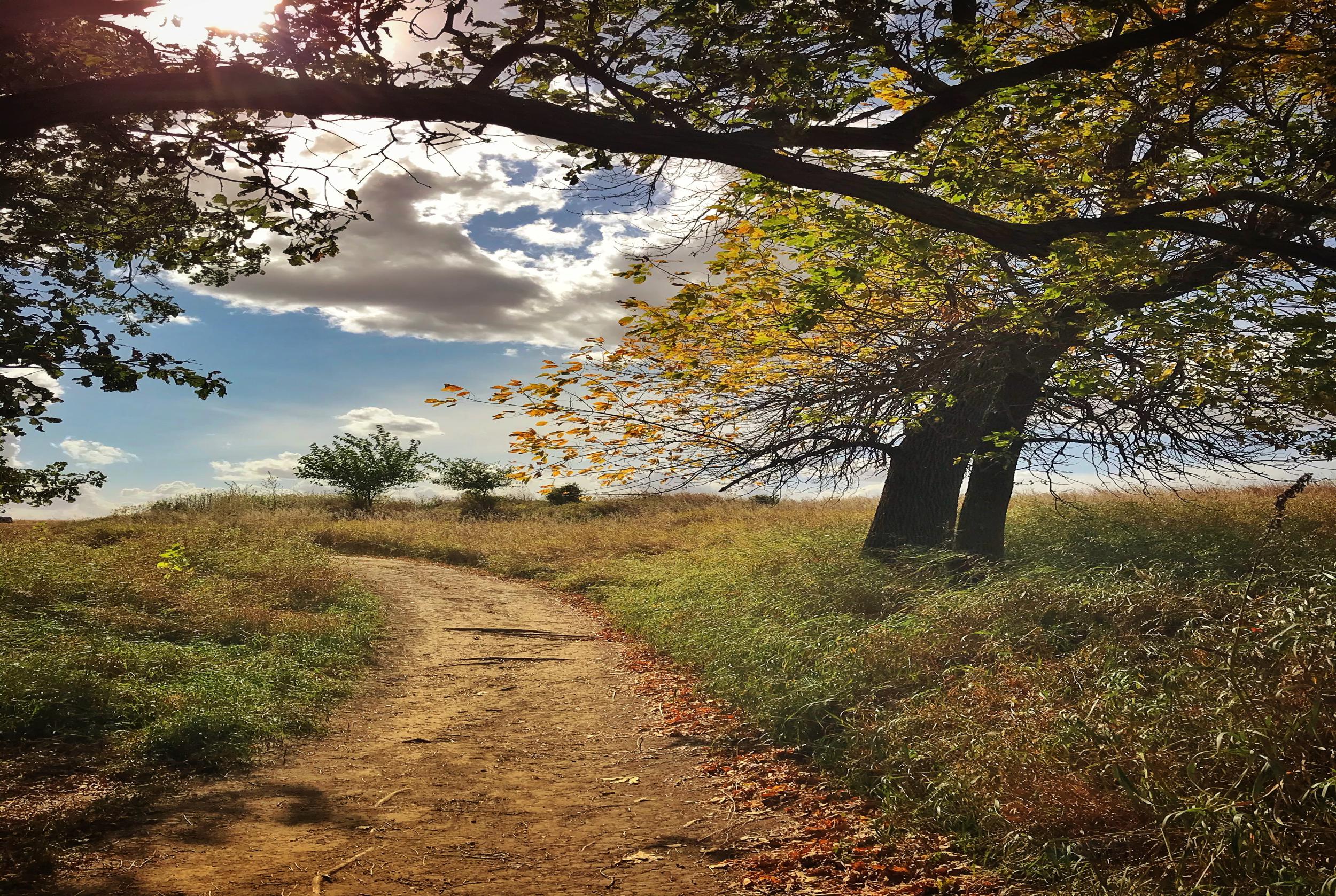 Good Earth State Park