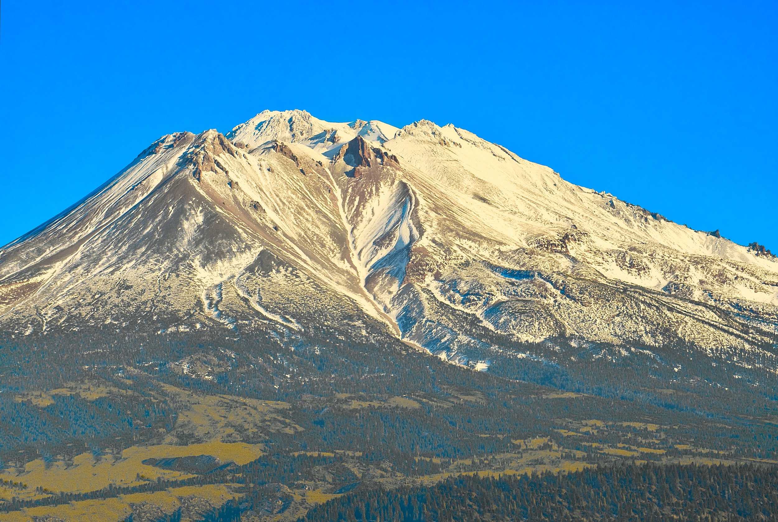 Shasta-Trinity National Forest