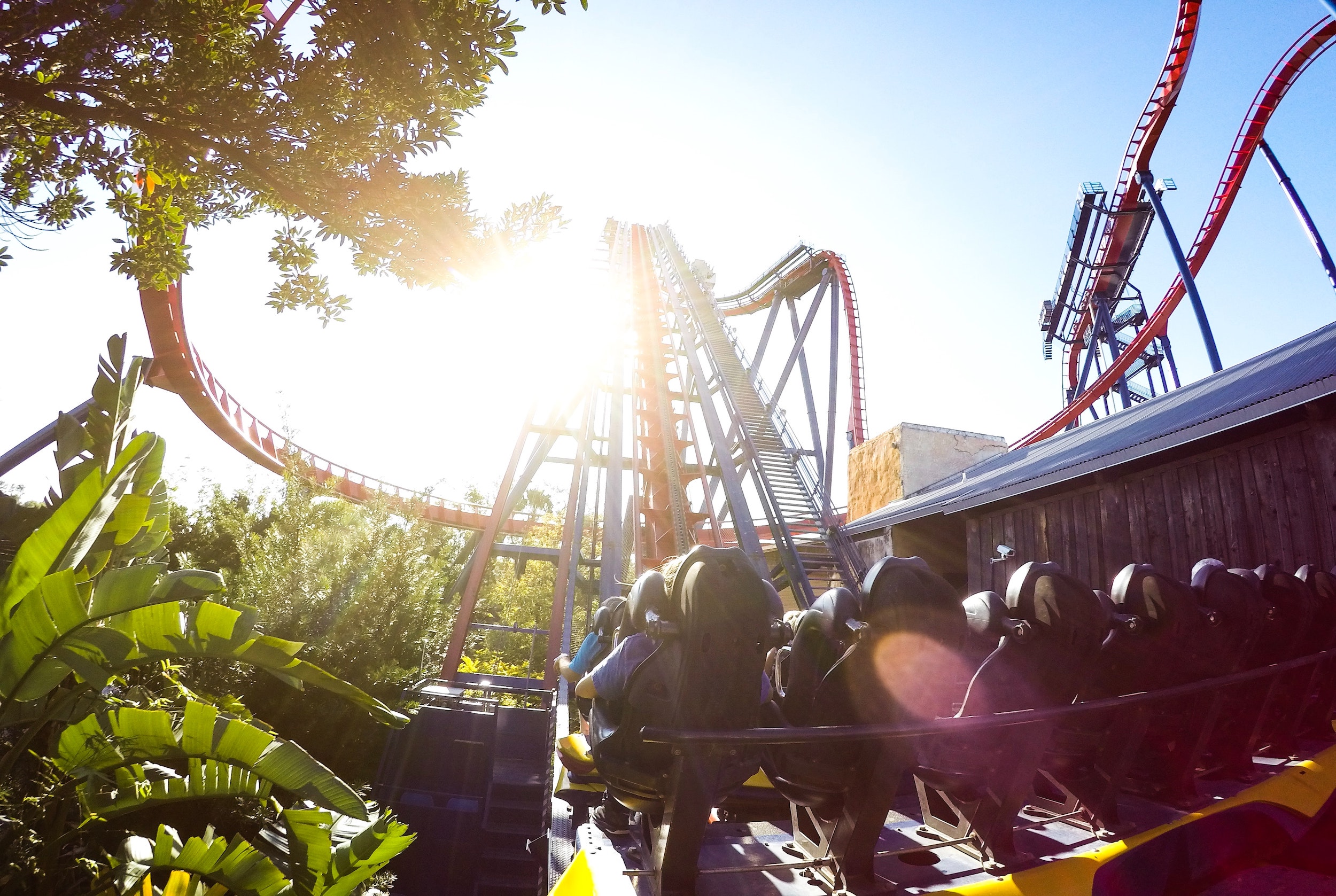 Busch Gardens Williamsburg