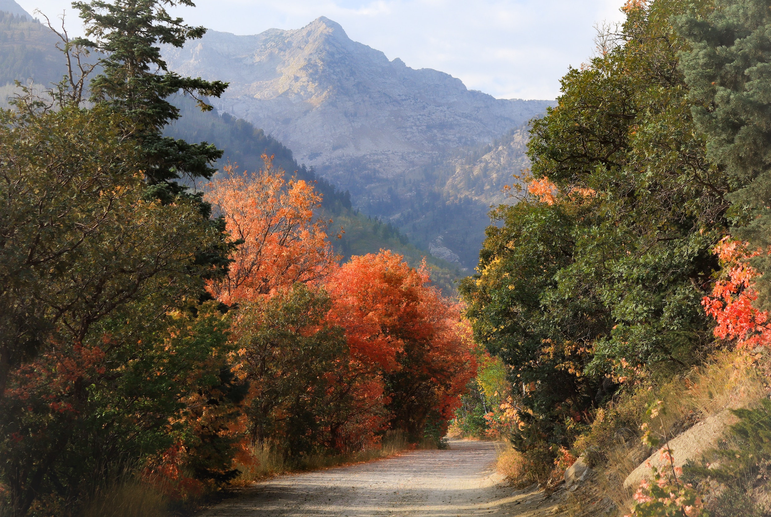 American Fork Canyon