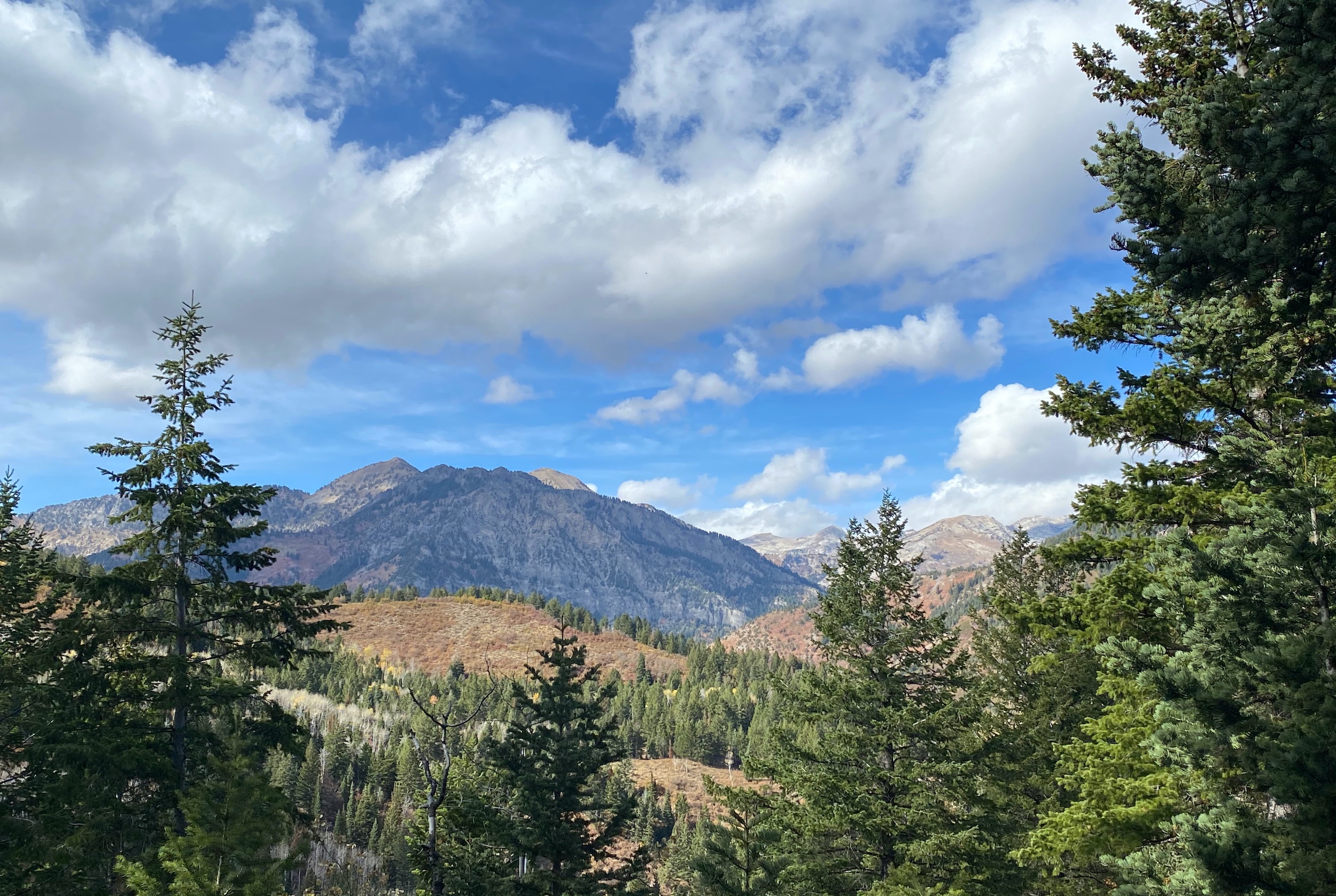 Hobble Creek Canyon Drive