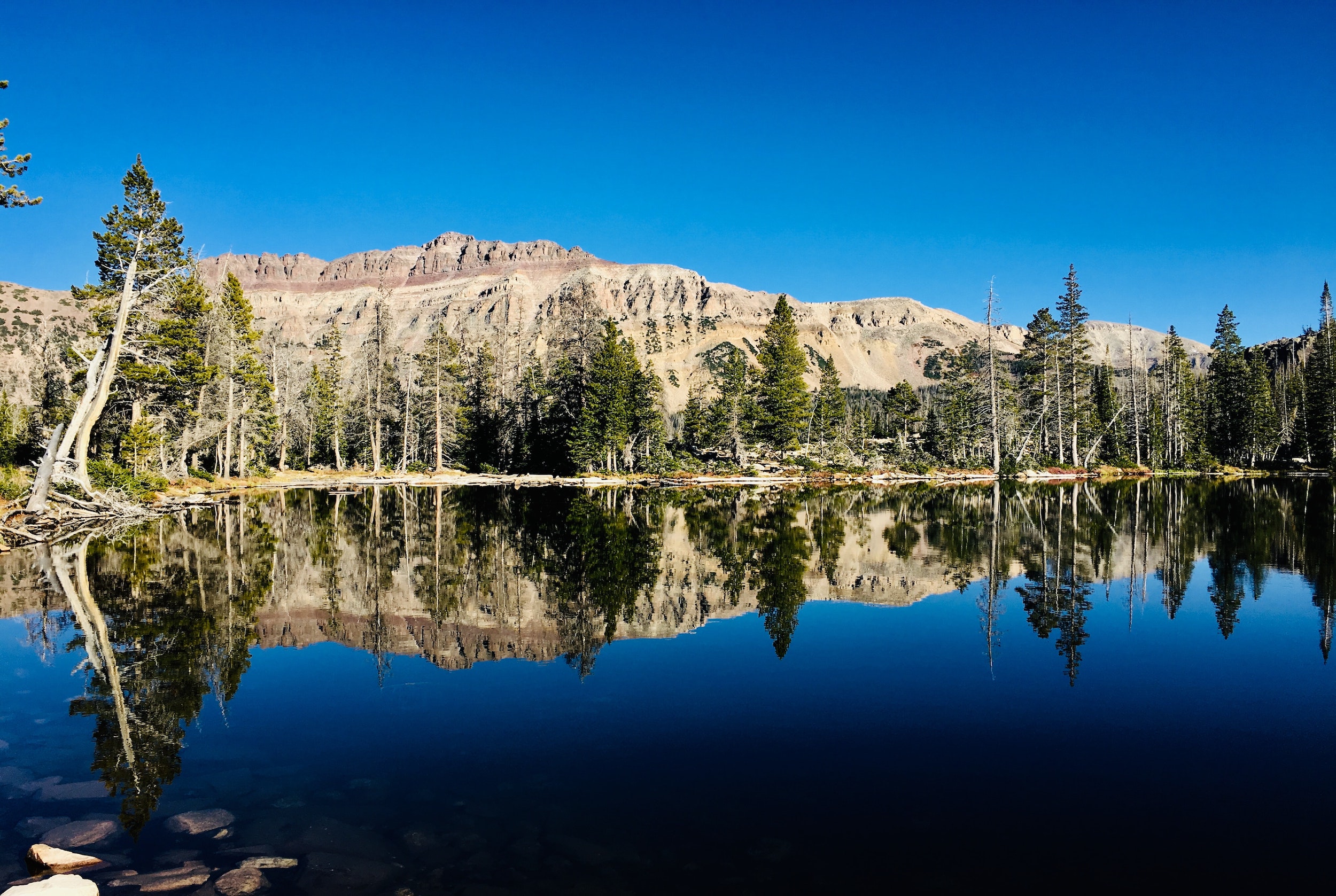 Mirror Lake