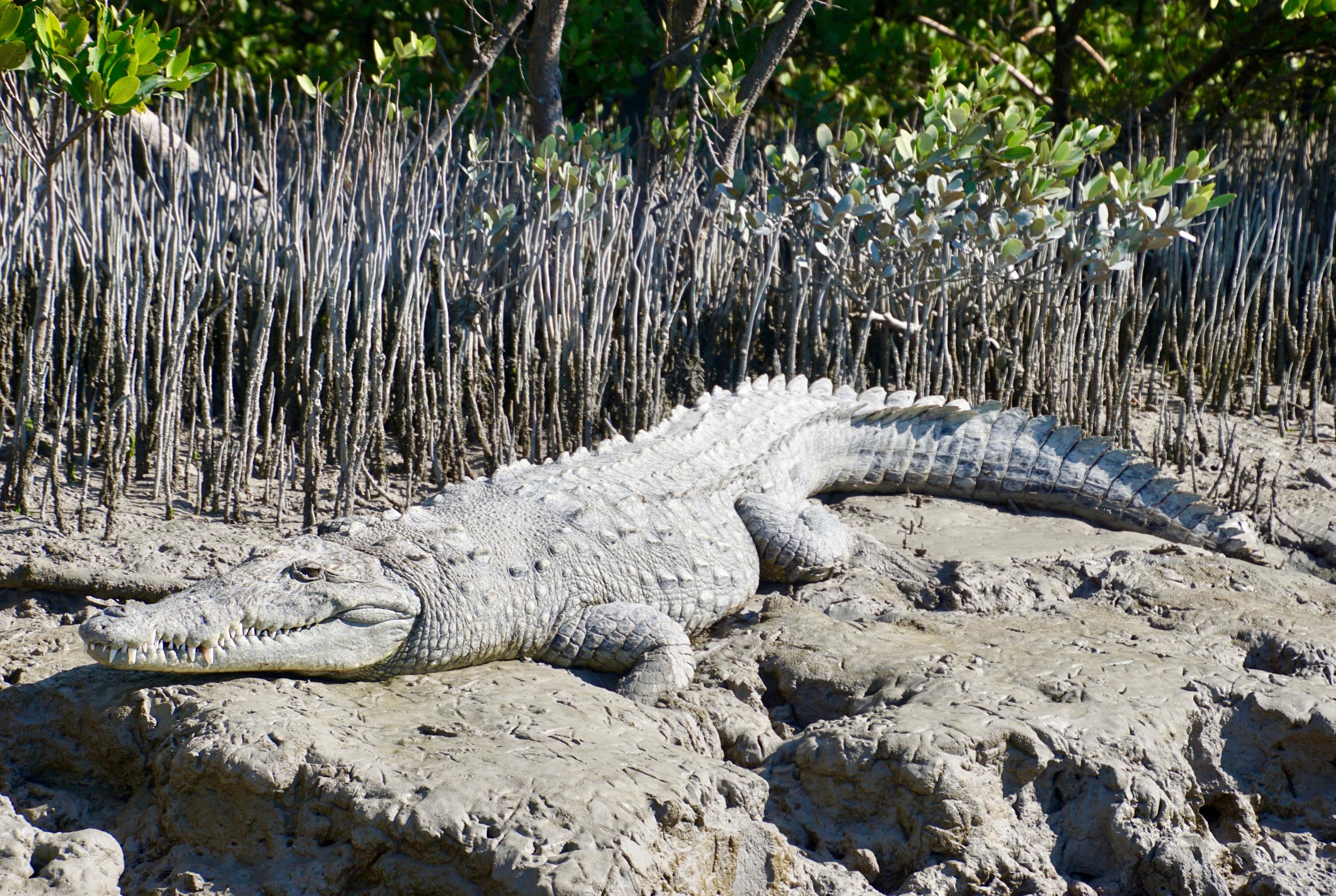 Everglades National Park