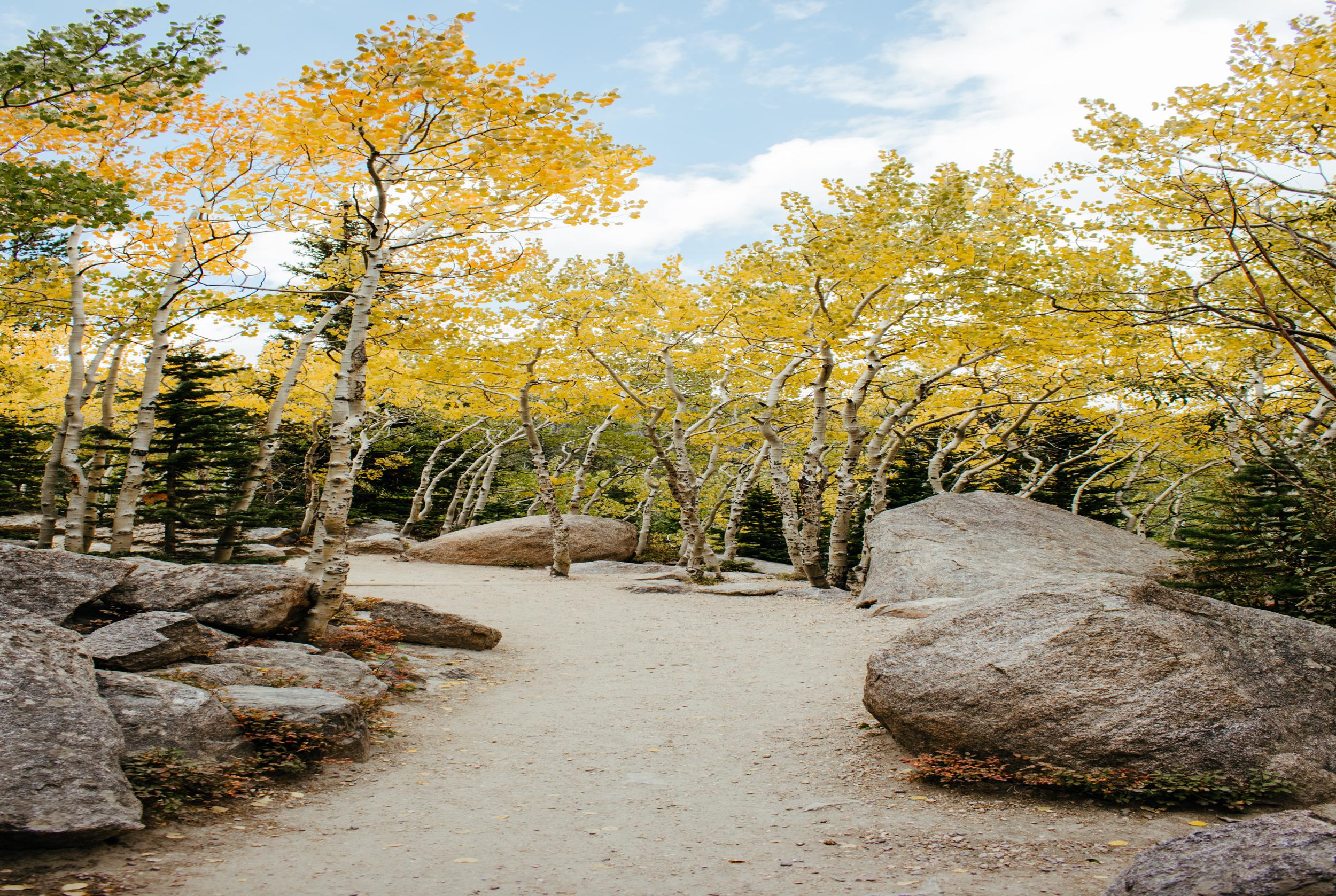 Shenandoah National Park