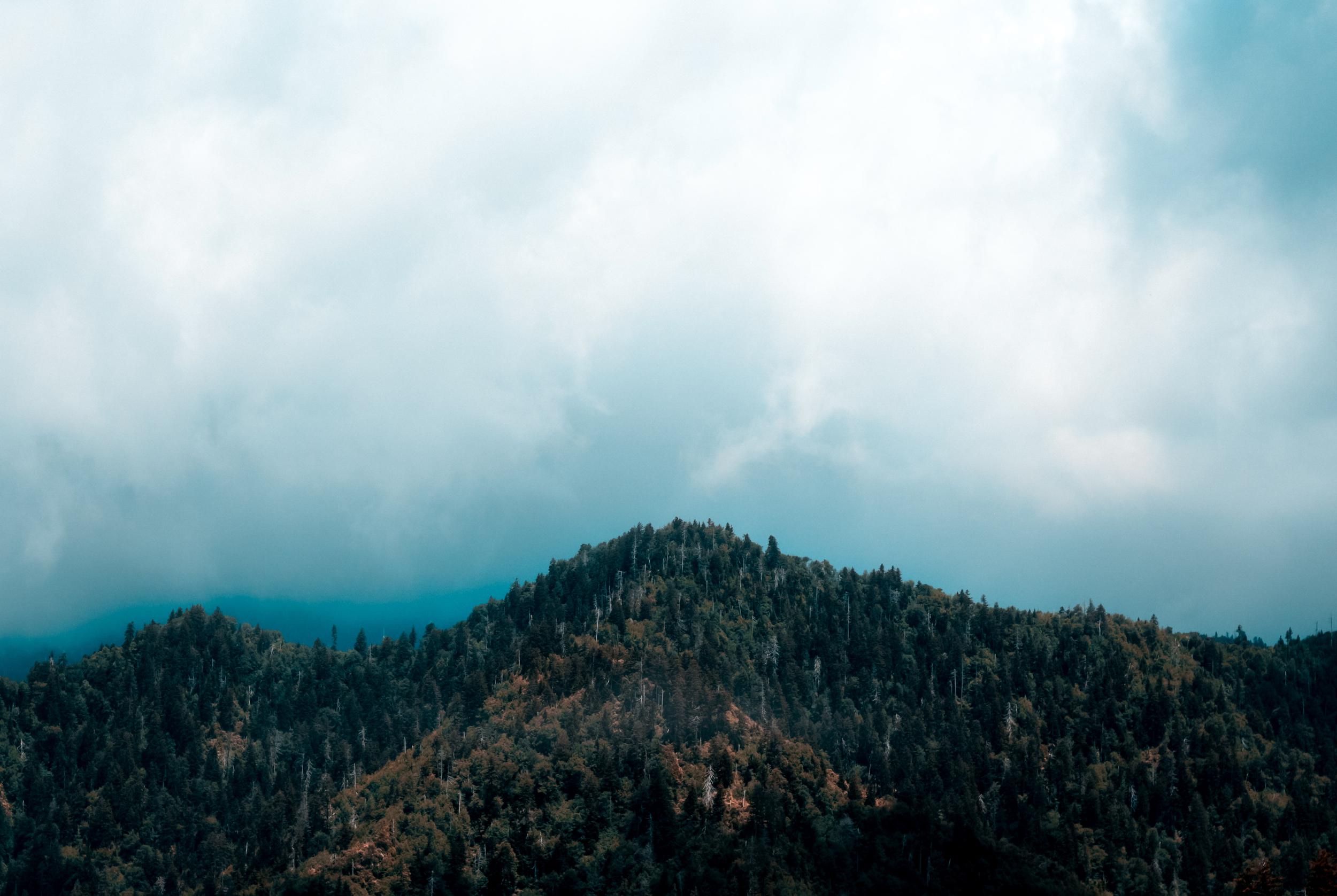 Great Smoky Mountains National Park