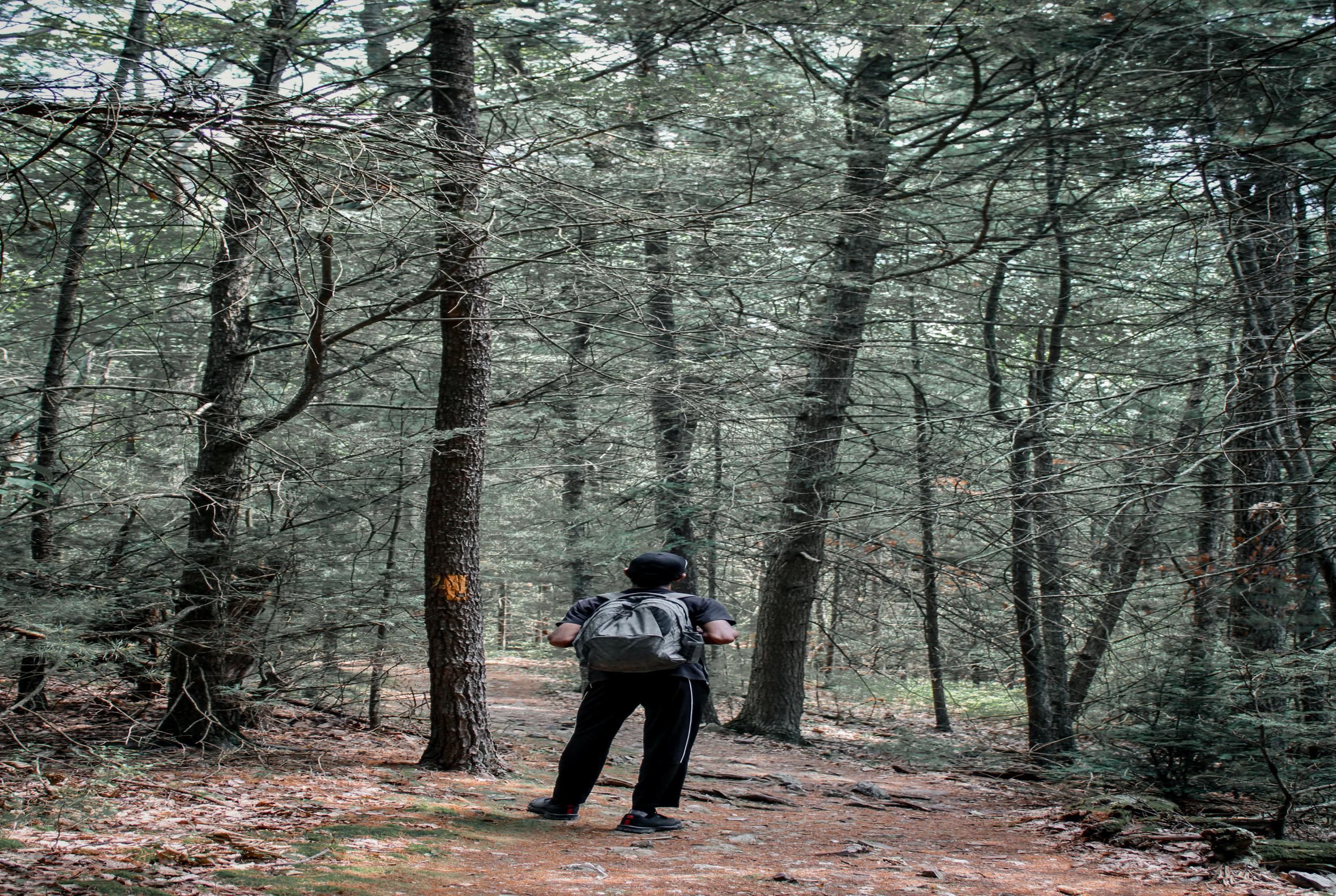 Nockamixon State Park, Quakertown (Bucks County)