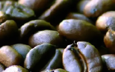 Kauai Whole Bean Coffee Review